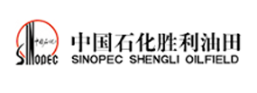 中国石化胜利油田